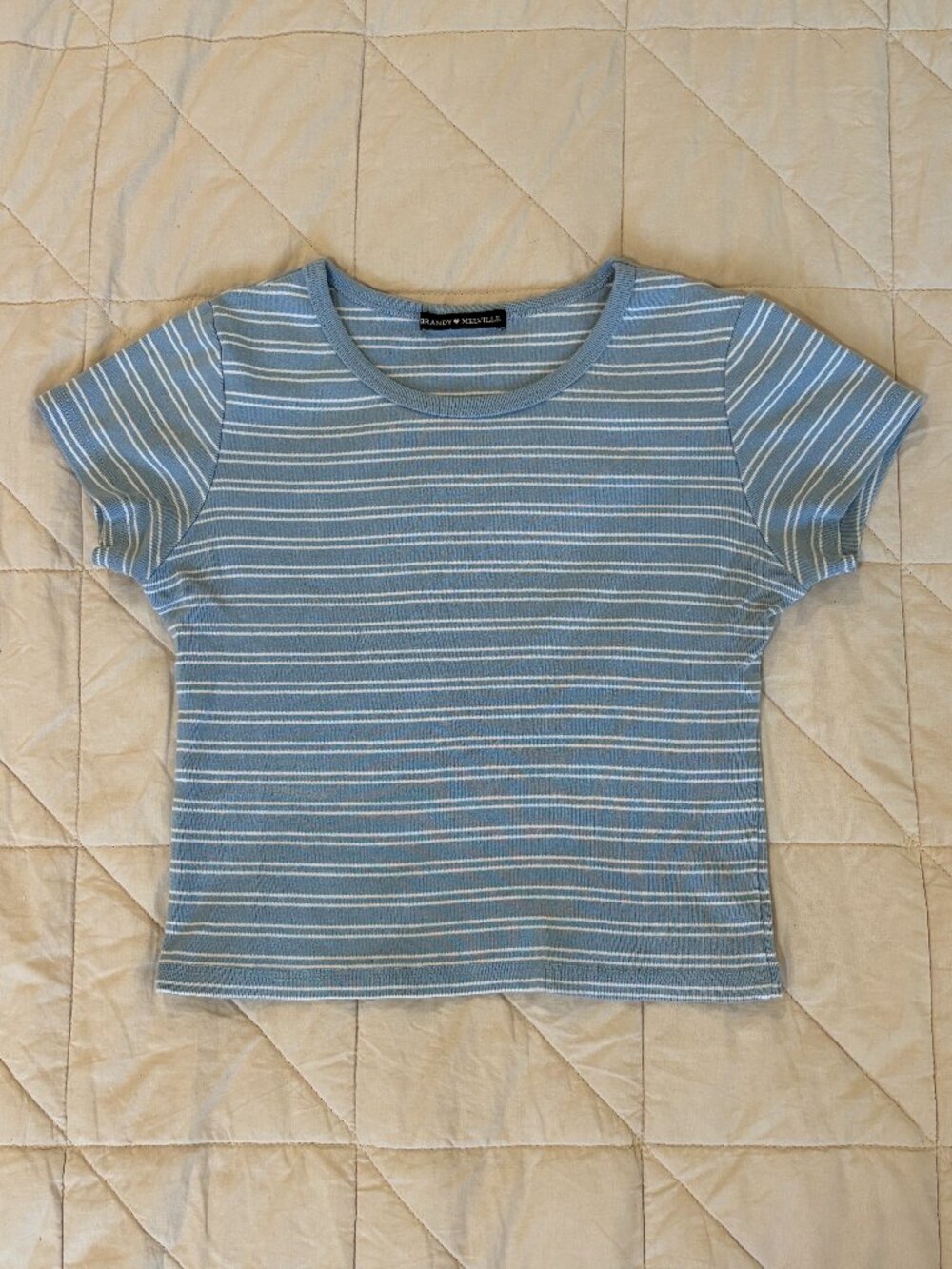 Brandy Melville Blue Stripe Ribbed Baby Tee Soft Girl Y2K